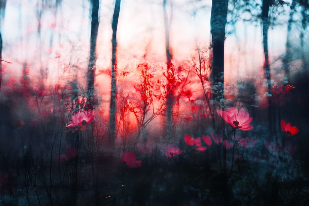 诏安梅岭:七夕献血传递爱 志愿服务暖人心